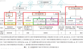 奥西伏美阿美耐药怎么办？基因全因没方向 ，一文自测 MET突变盲试卡马替尼是否适合你