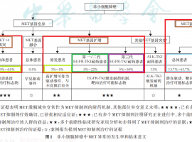 奥西伏美阿美耐药怎么办？基因全因没方向 ，一文自测 MET突变盲试卡马替尼是否适合你