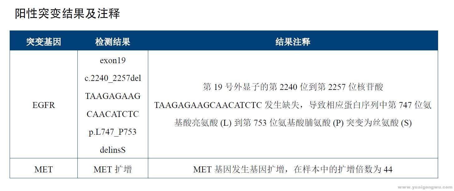 最近基因突变检测结果