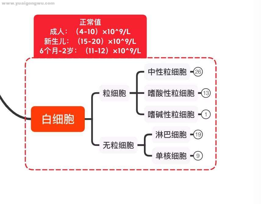 微信图片_20210201173748.jpg