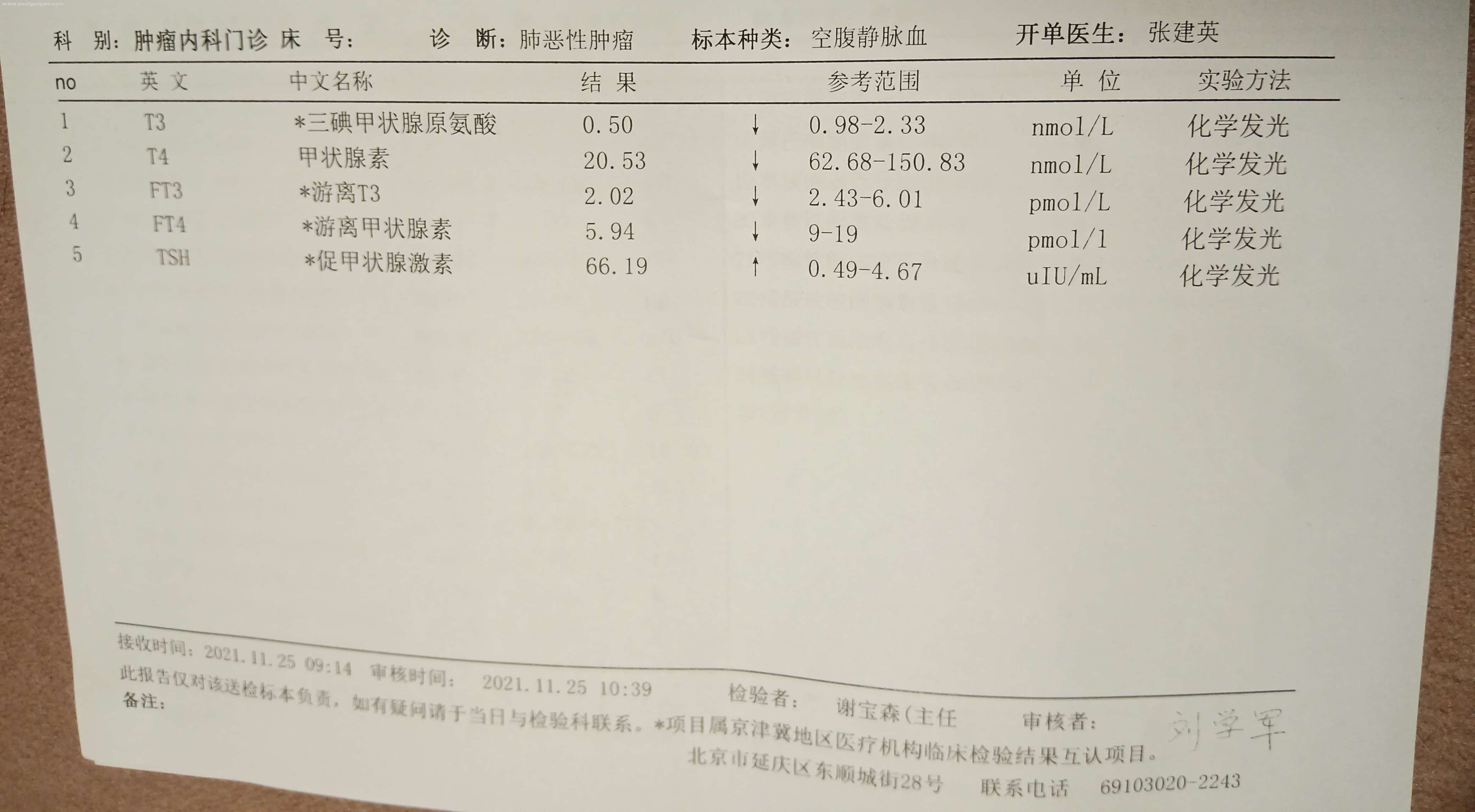 20211125甲状腺素检测结果