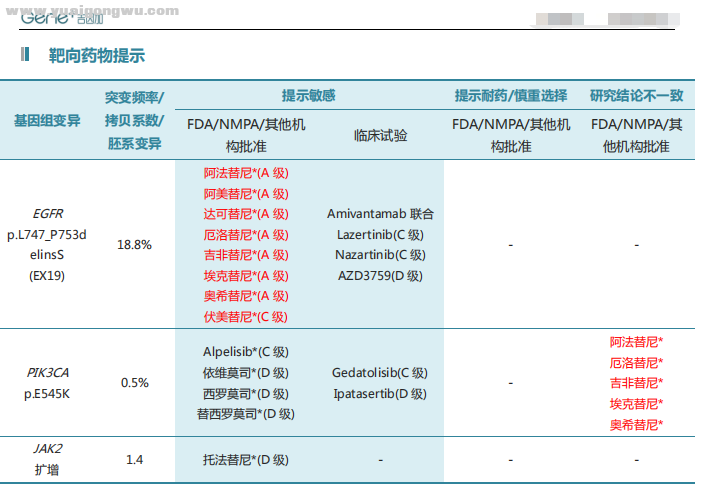 达可替尼靶向11个月后基因检测